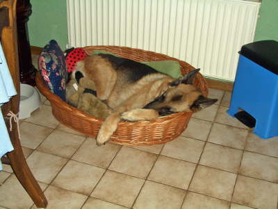 CIMG1310_edited